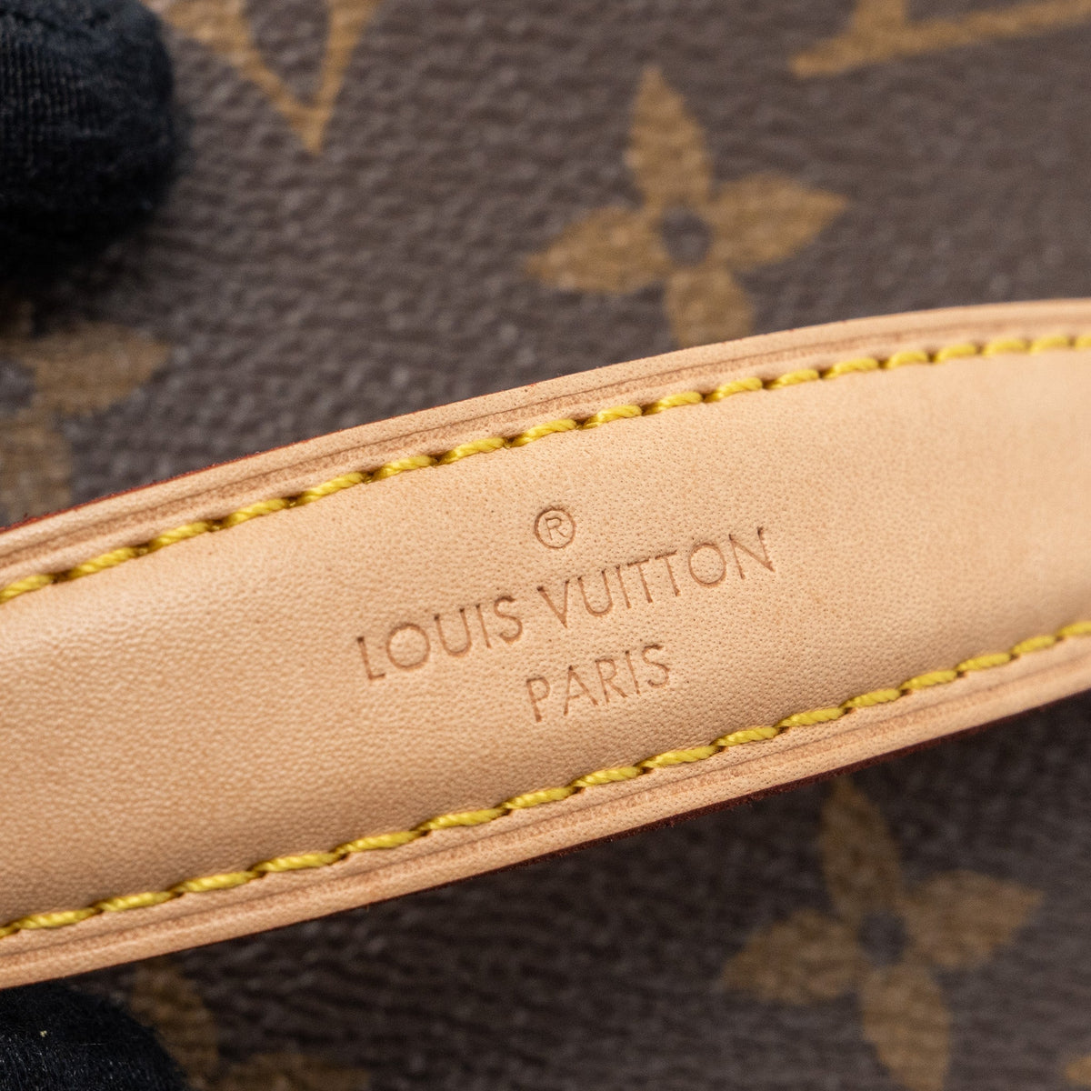 louis-vuitton-nice-mini-monogram-canvas-ghw-4