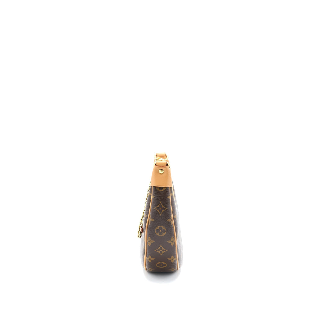 louis-vuitton-loop-bag-monogram-canvas-ghw-1
