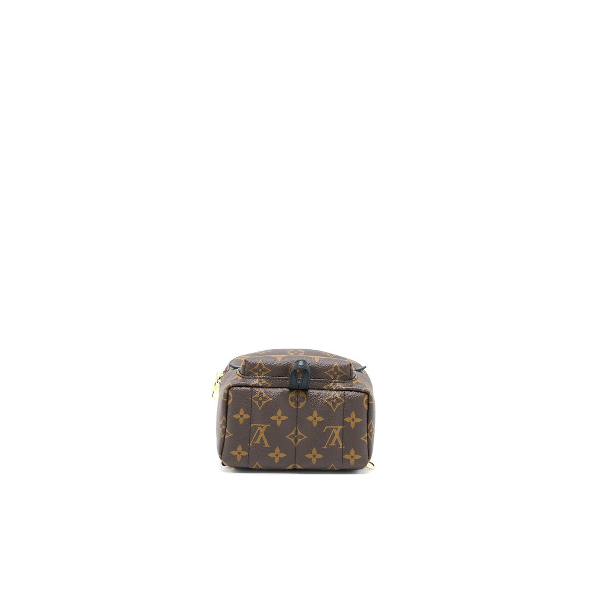 copy-of-louis-vuitton-palm-spring-mini-backpack-monogram-canvas-ghw