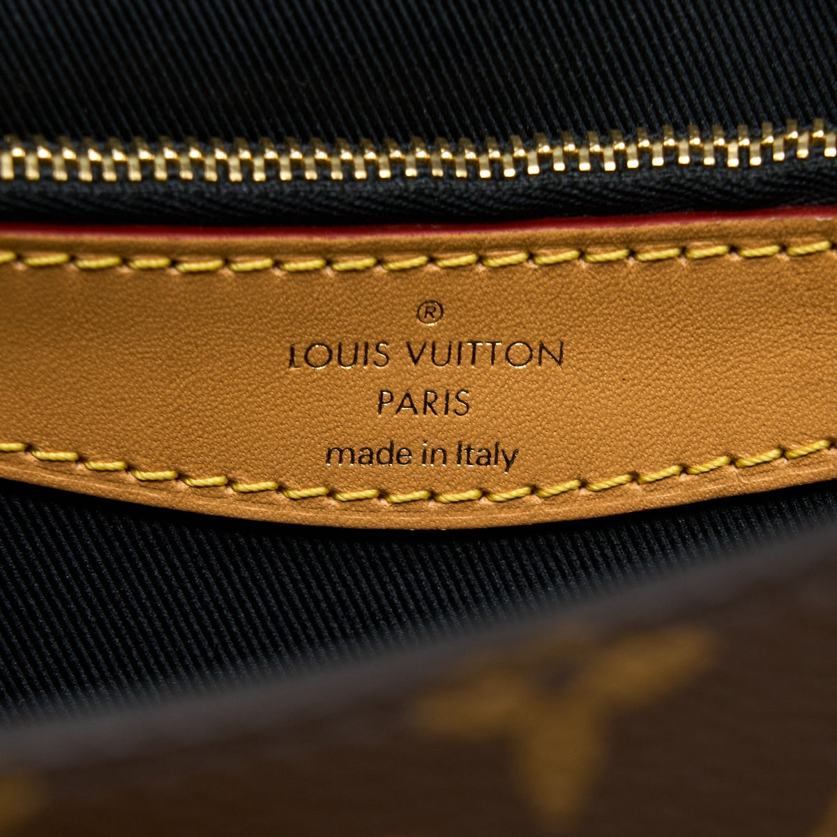 louis-vuitton-diane-bag-monogram-canvas-black-strap-ghw-new-version