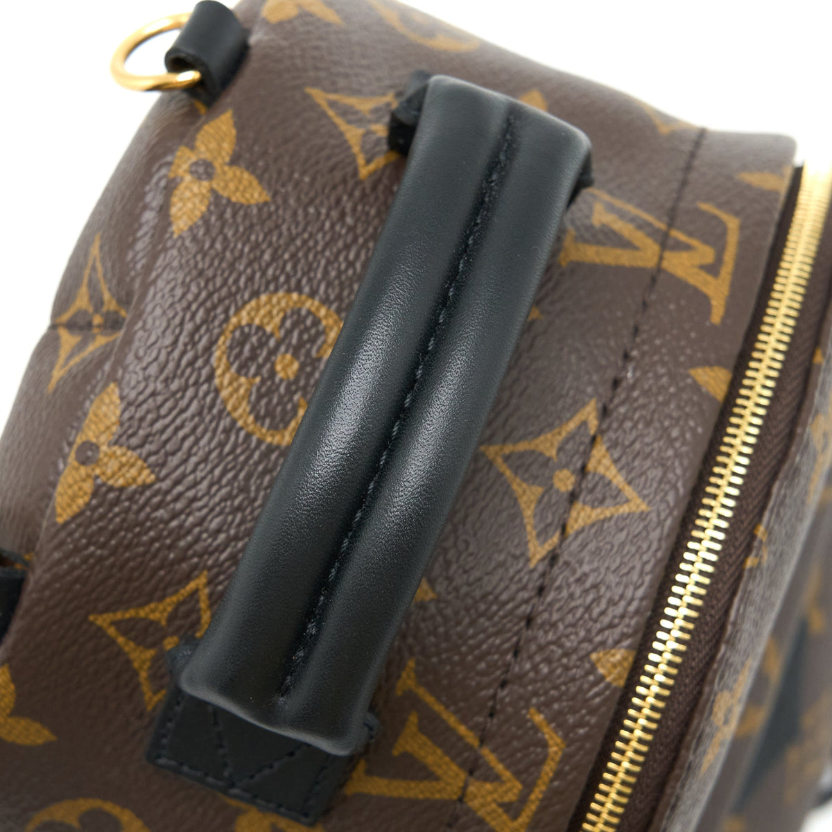 copy-of-louis-vuitton-palm-spring-mini-backpack-monogram-canvas-ghw