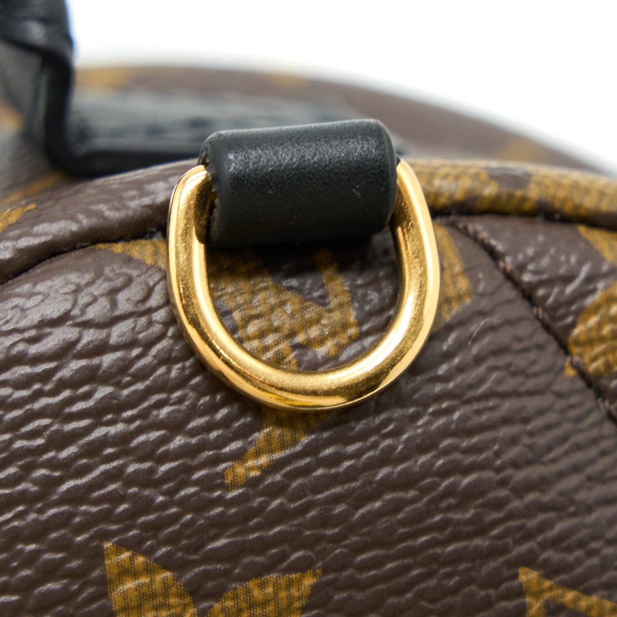 copy-of-louis-vuitton-palm-spring-mini-backpack-monogram-canvas-ghw
