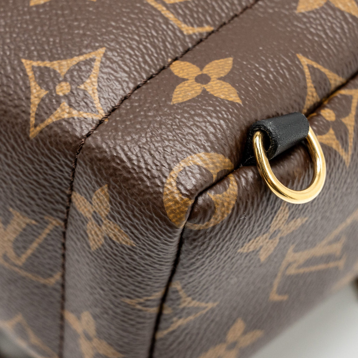 louis-vuitton-mini-palm-spring-backpack-monogram-canvas-ghw-10