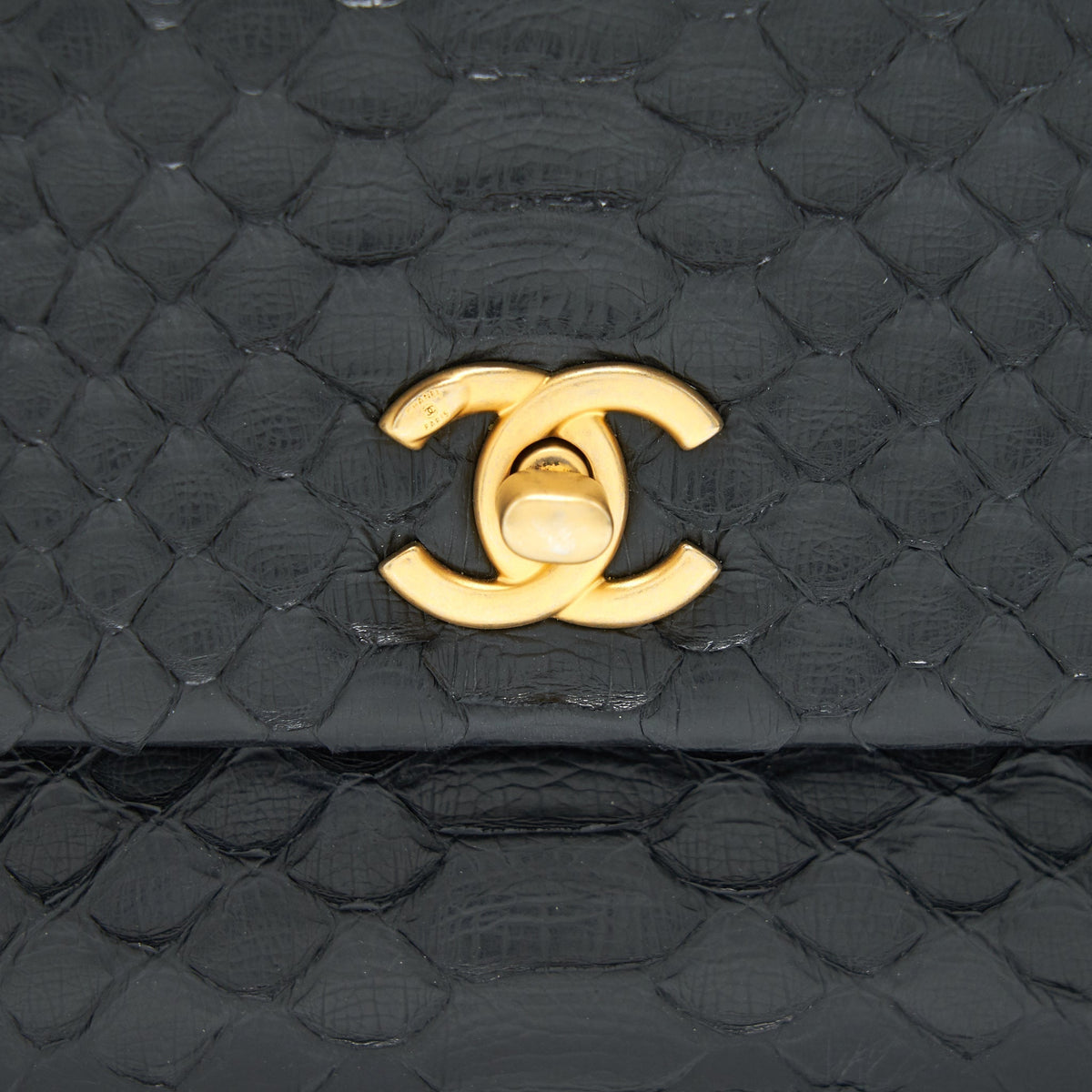 chanel-coco-handle-mini-python-leather-black-ghw