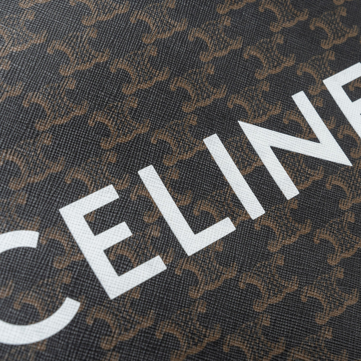 celine-cabas-vertical-in-triomphe-canvas-and-calfskin-ghw