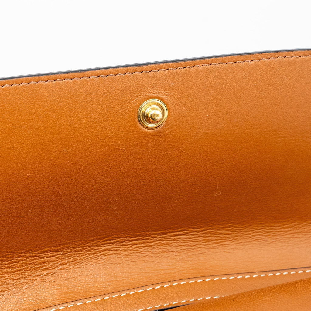 celine-wallet-on-strap-triomphe-canvas-smooth-lambskin-tan-ghw-1
