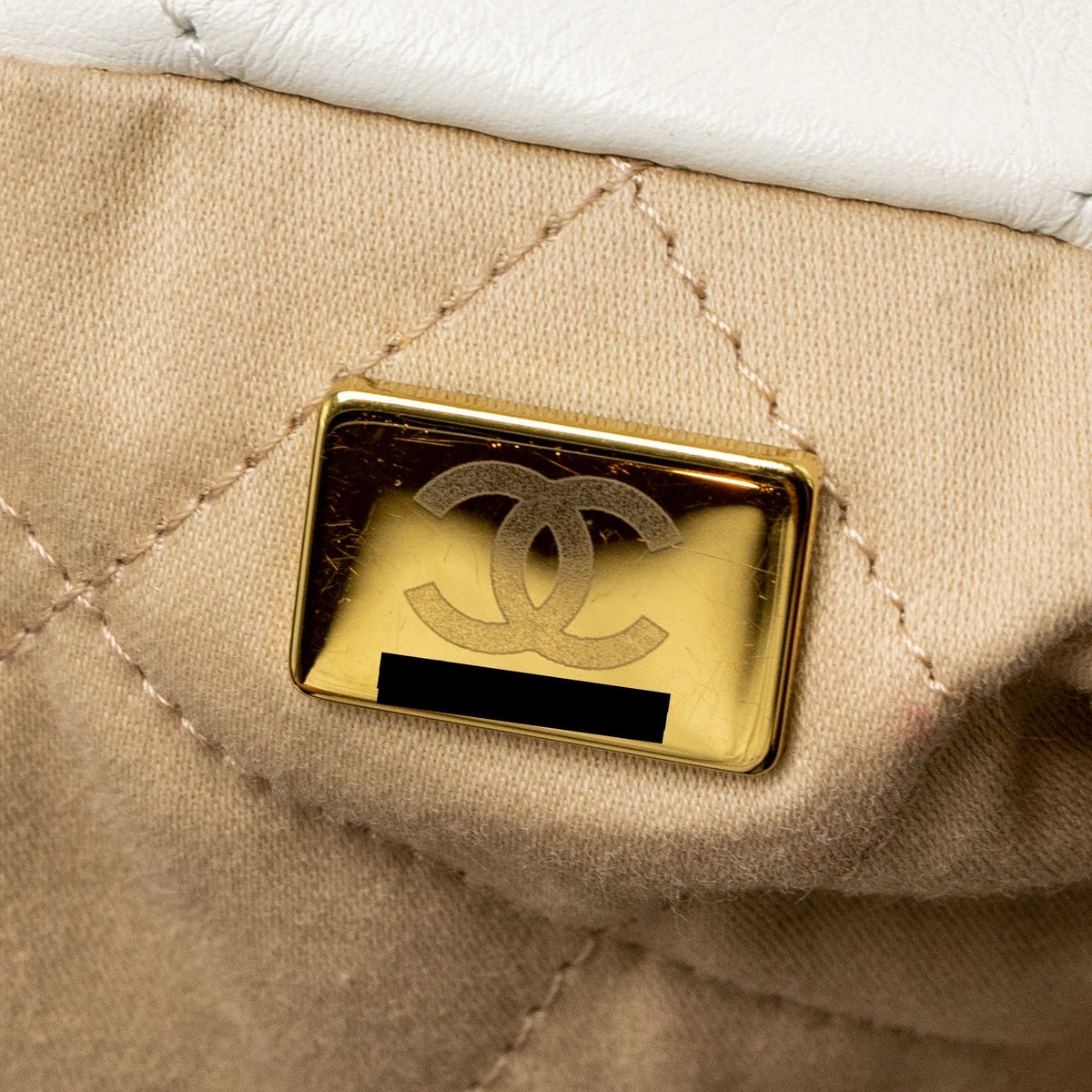 chanel-small-22-bag-gold-letter-shiny-calfskin-white-brushed-ghw-microchip