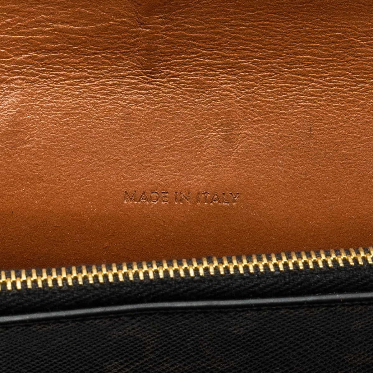 celine-wallet-on-strap-triomphe-canvas-smooth-lambskin-tan-ghw-5