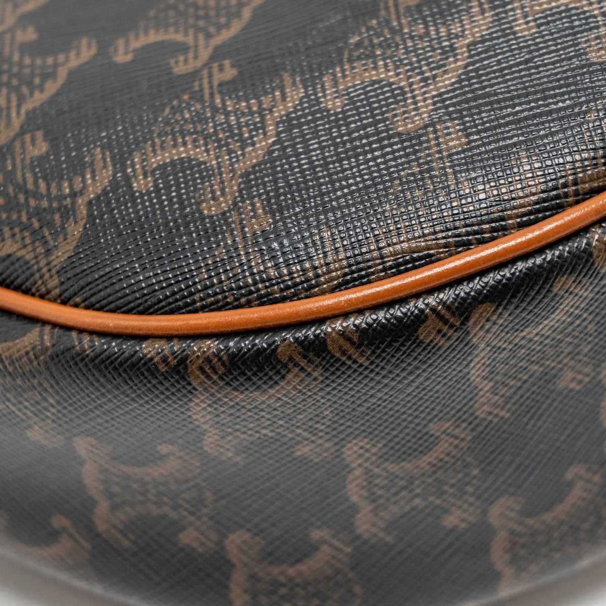 celine-ava-bag-triomphe-canvas-calfskin-tan-ghw-2