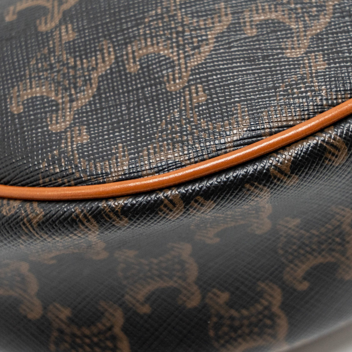 celine-ava-bag-triomphe-canvas-calfskin-tan-ghw-2