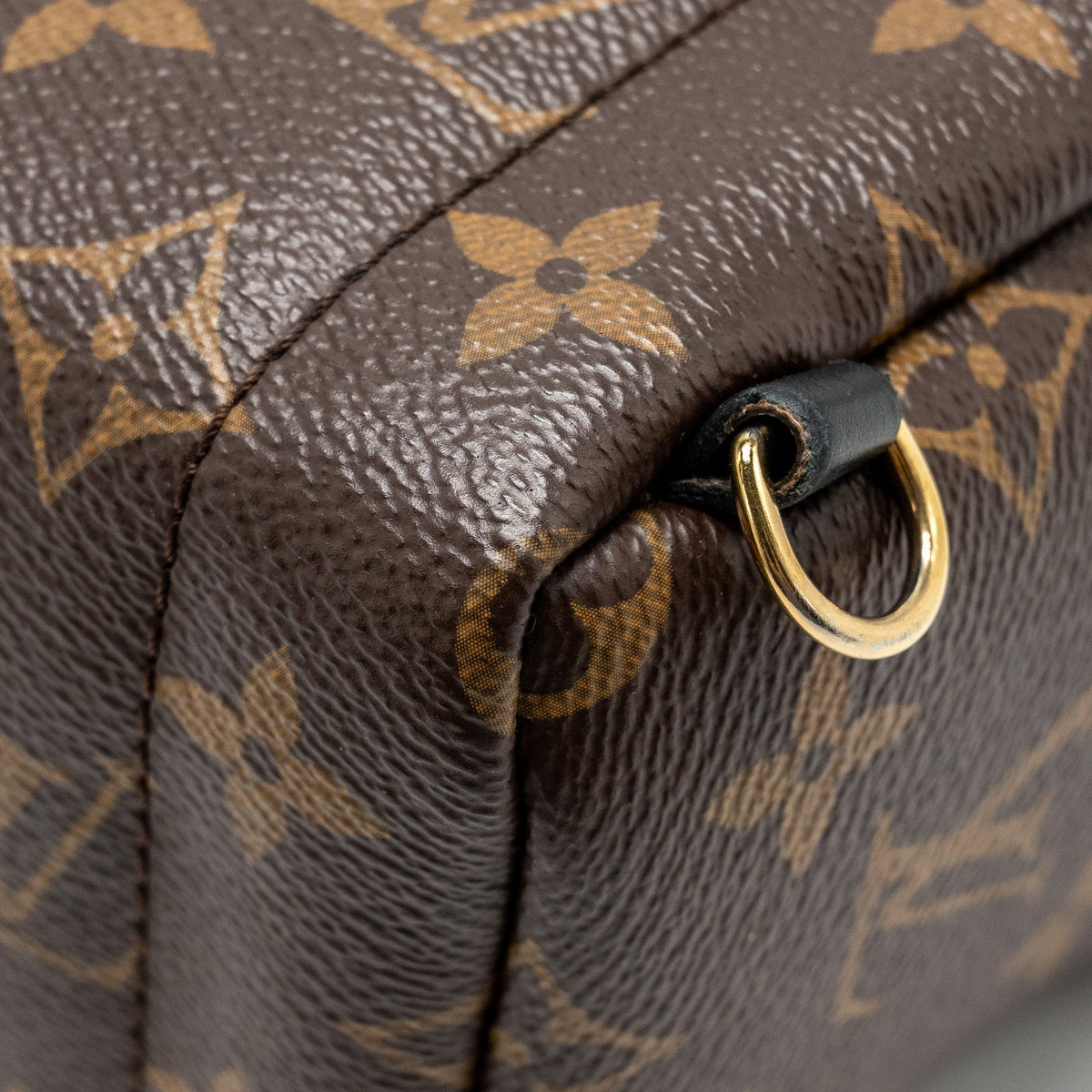 louis-vuitton-mini-palm-spring-backpack-monogram-canvas-ghw-11