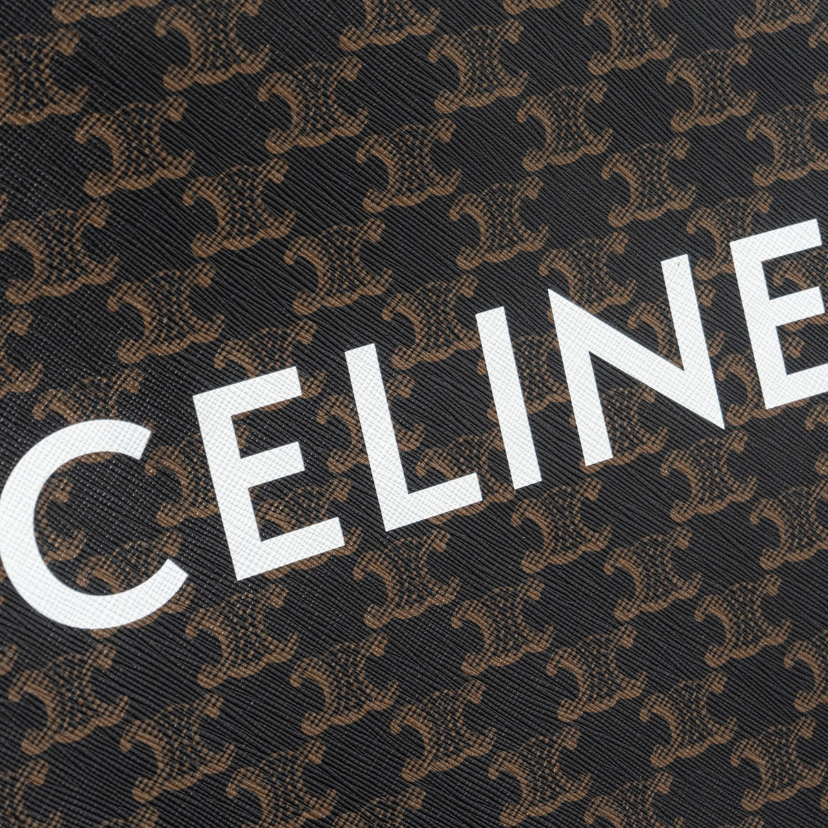 celine-vertical-cabas-triomphe-canvas-ghw-3