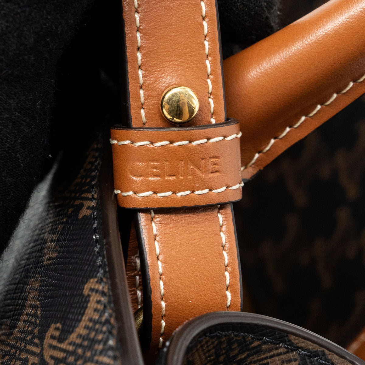 celine-vertical-cabas-triomphe-canvas-ghw-3