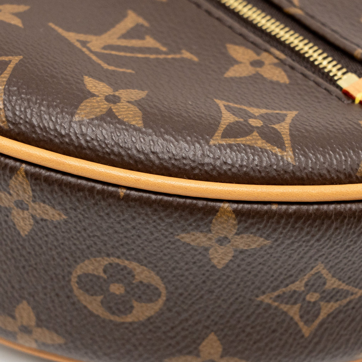 louis-vuitton-loop-bag-monogram-canvas-ghw-2
