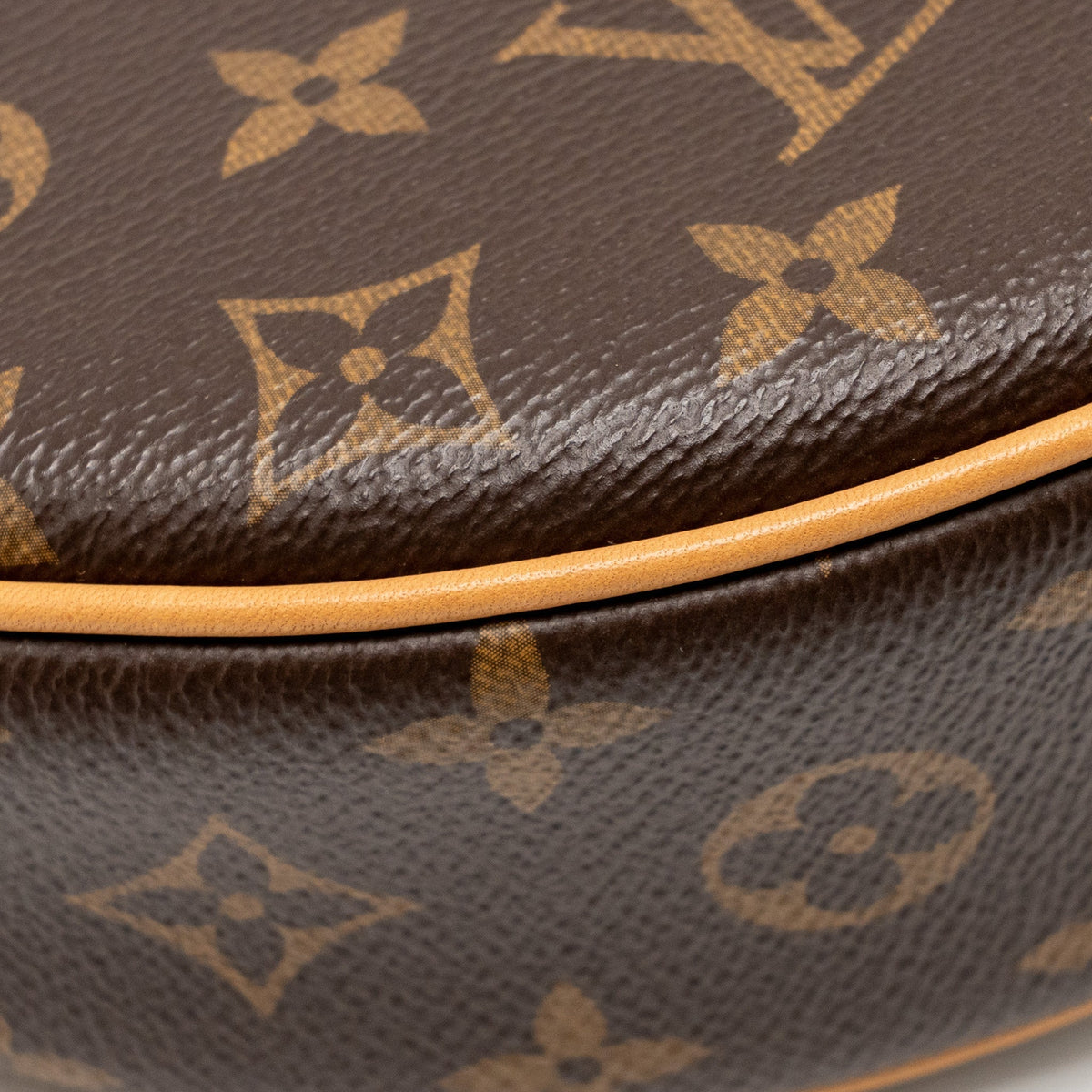 louis-vuitton-loop-bag-monogram-canvas-ghw-2
