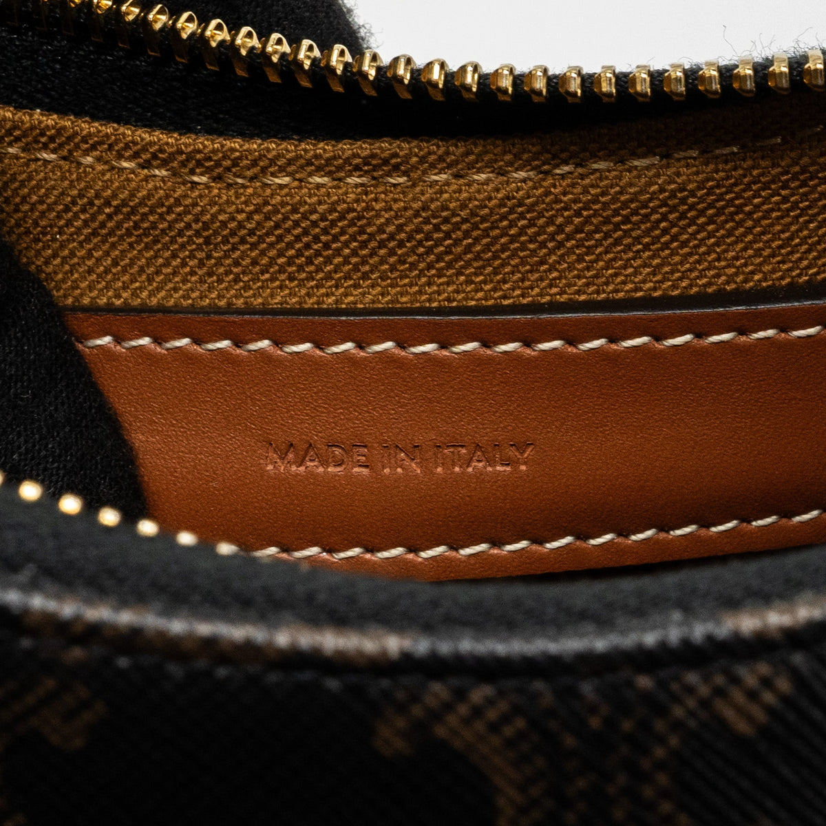 celine-ava-bag-in-triomphe-canvas-and-calfskin-tan-2