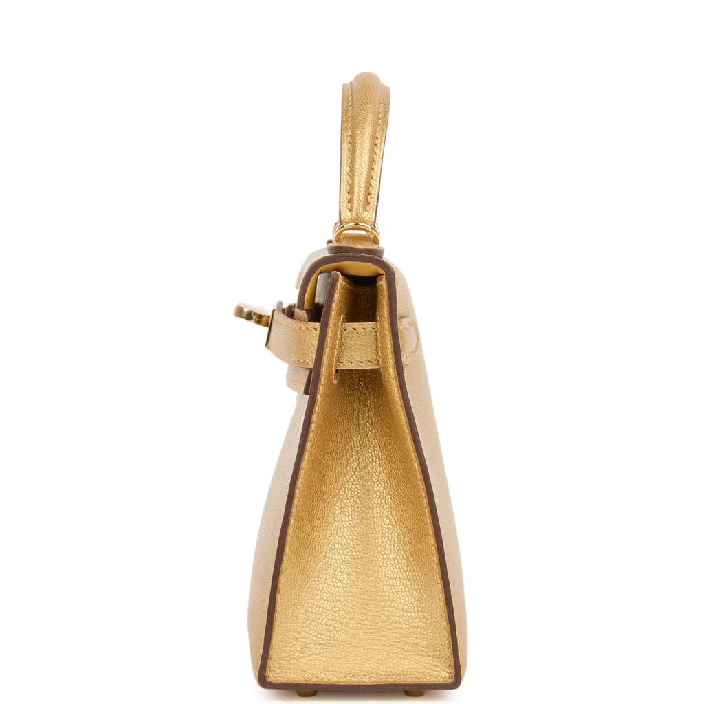 hermes-kelly-sellier-20-dore-chevre-chamkilight-bag