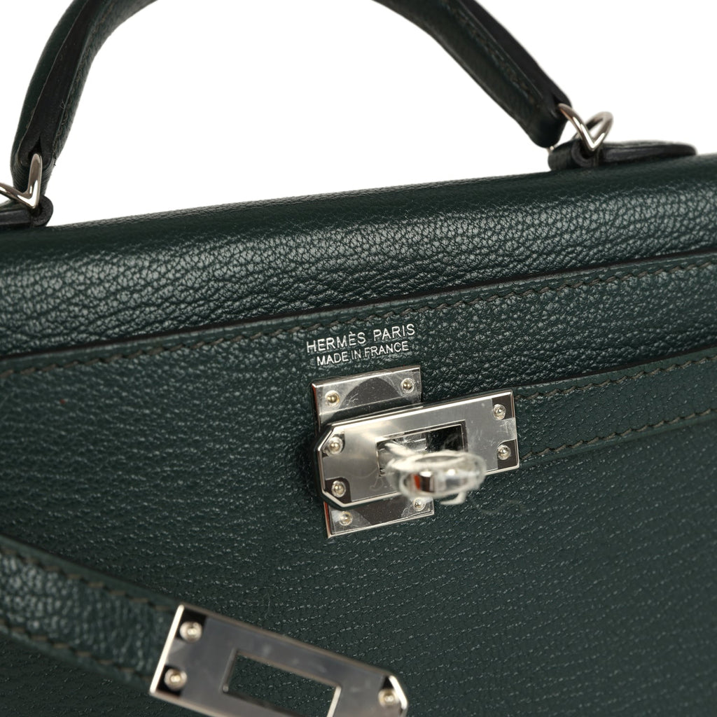 hermes-kelly-sellier-20-vert-titien-verso-chevre-mysore-bag