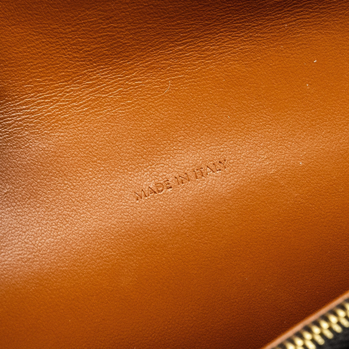 celine-wallet-on-strap-triomphe-canvas-smooth-lambskin-tan-ghw-6